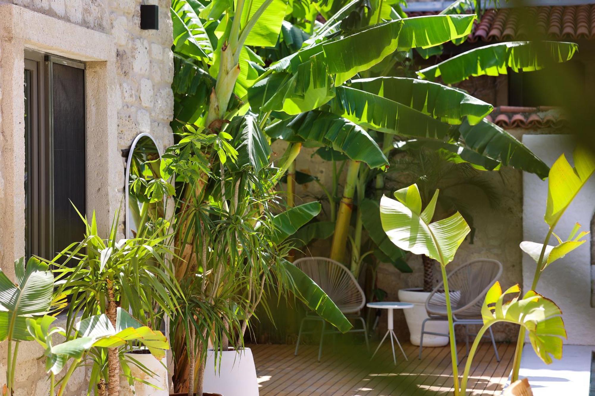 Voger Alacati Koeyici المظهر الخارجي الصورة