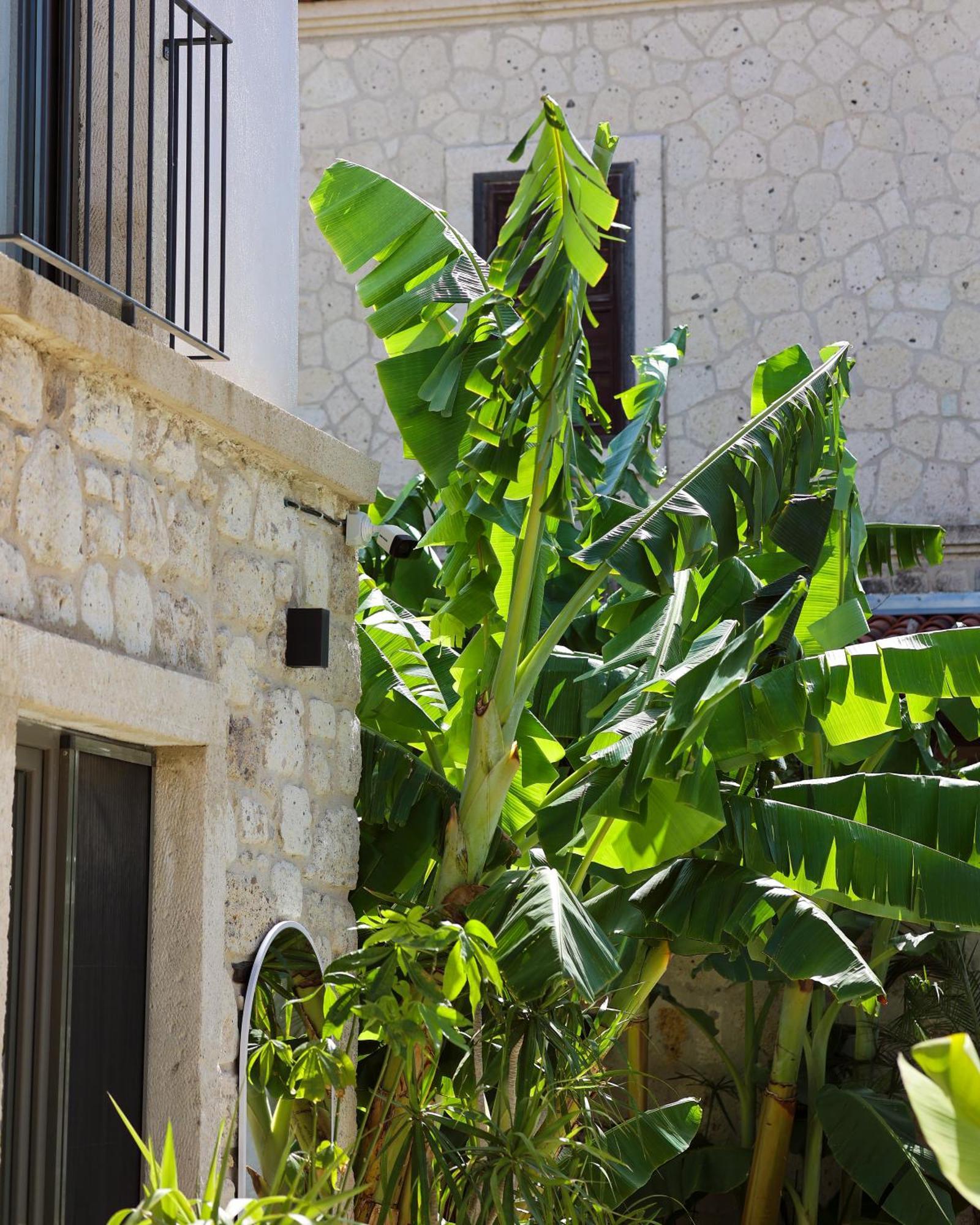 Voger Alacati Koeyici المظهر الخارجي الصورة